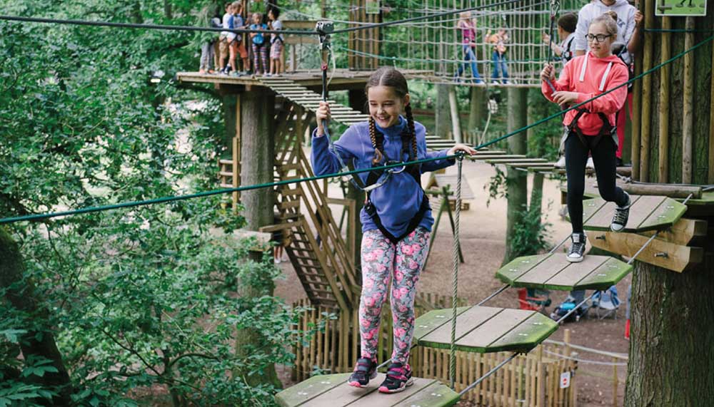Family on the high ropes at Go Ape Moors Valley