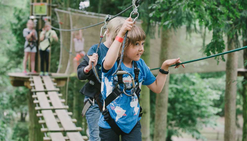 Perfect kids day out at Go Ape Moors Valley