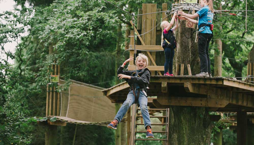 Kids love the zip wire at Go Ape Moors Valley