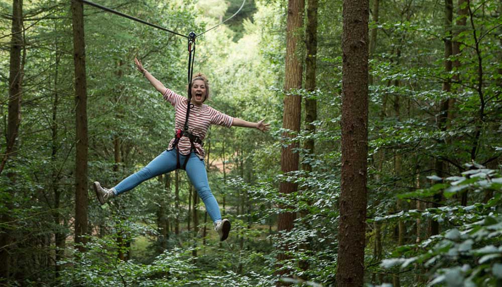 Zip Wire Experience at Go Ape Moors Valley