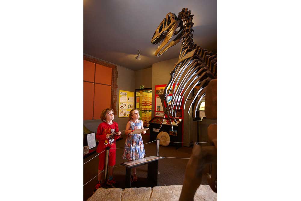 Amazing displays at The Dinosaur Museum