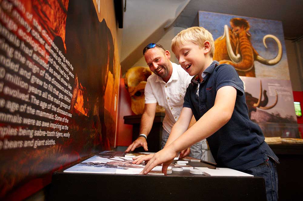 Family fun with interactive exhibitions at the Dinosaur Museum in Dorset