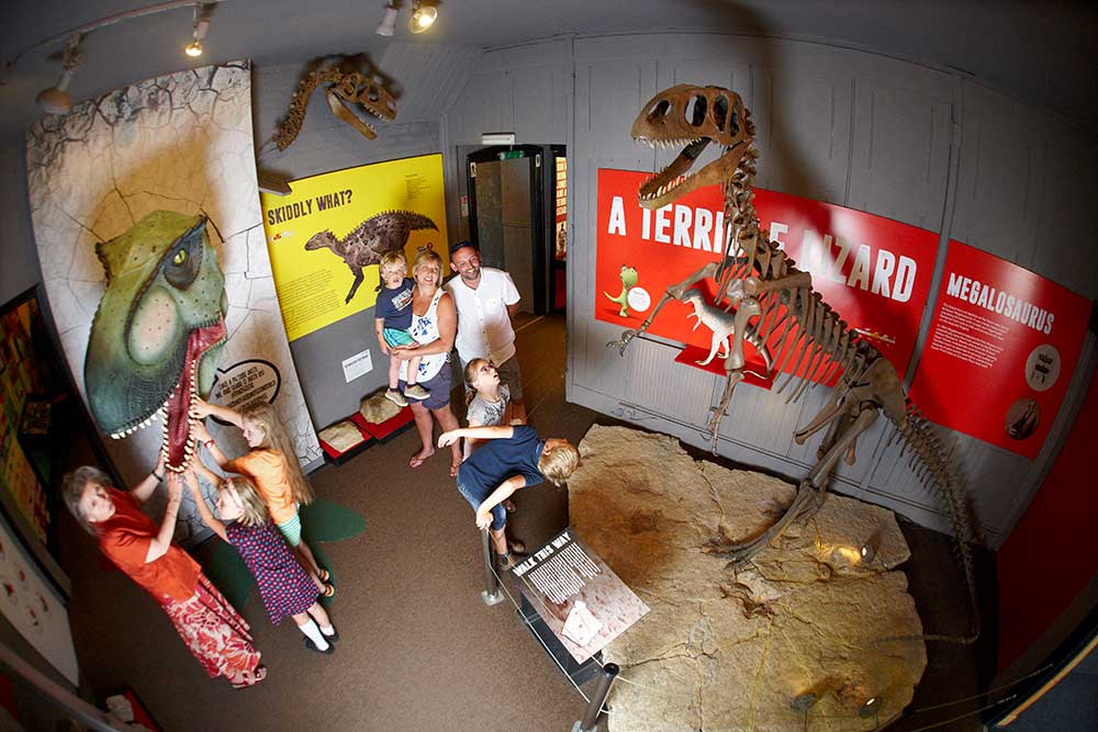 Impressive exhibitions to be seen at the Dinosaur Museum