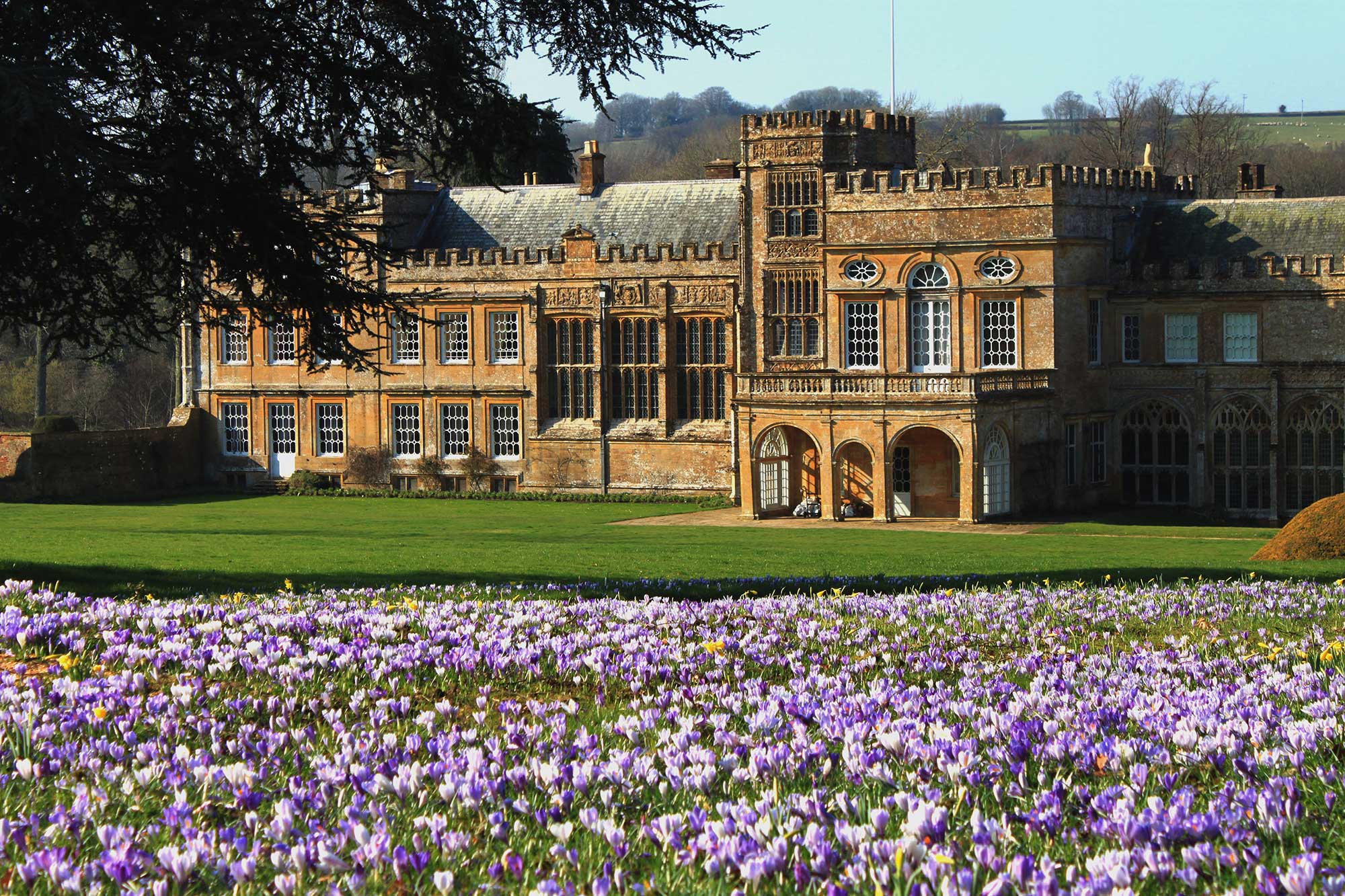 Forde Abbey and Gardens - Dorset attraction