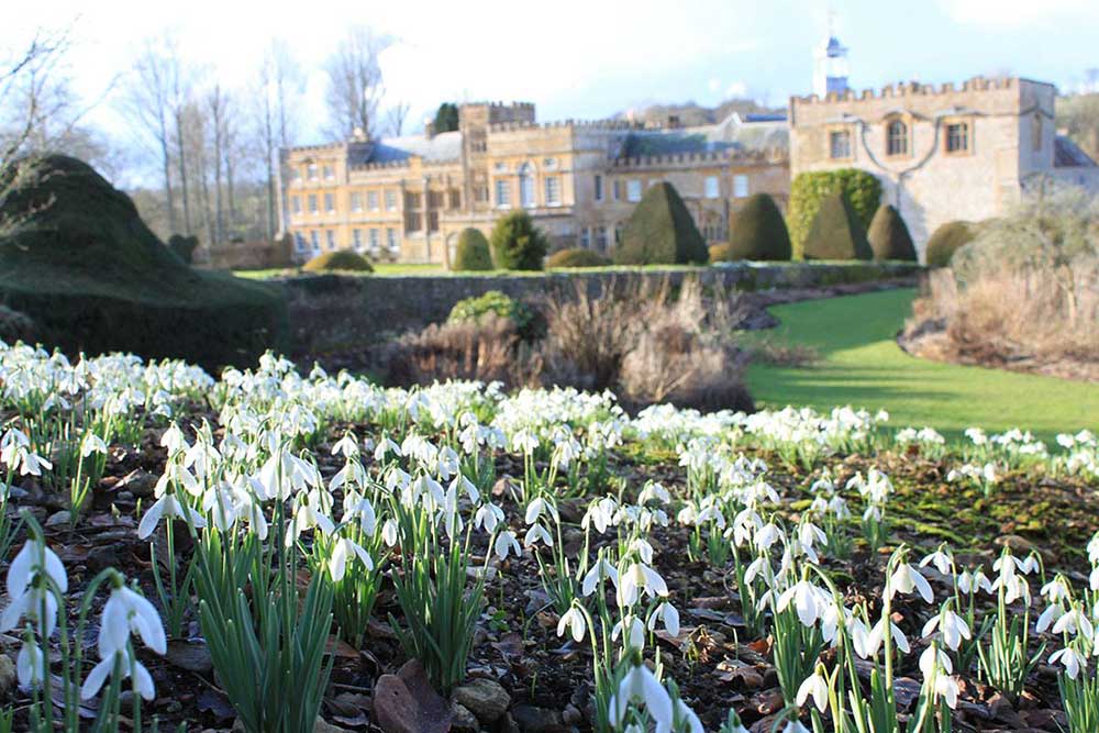 Snowdrop Weekends in February at Forde Abbey