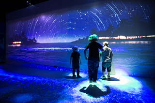 Weymouth SEA LIFE To Reopen With New Immersive Experience