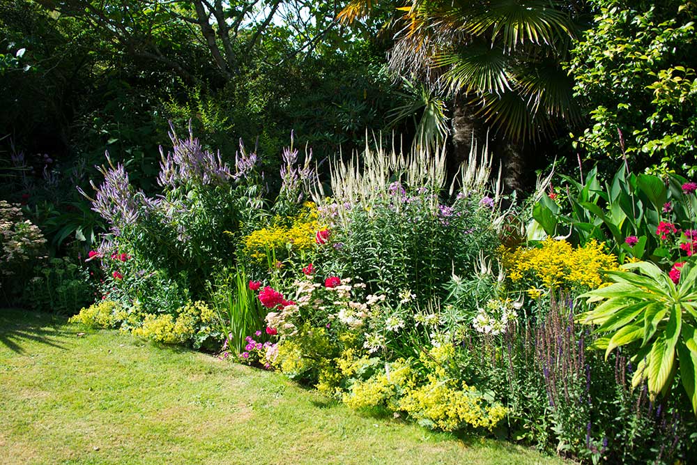 Abbotsbury Subtropical Gardens - border in the summer