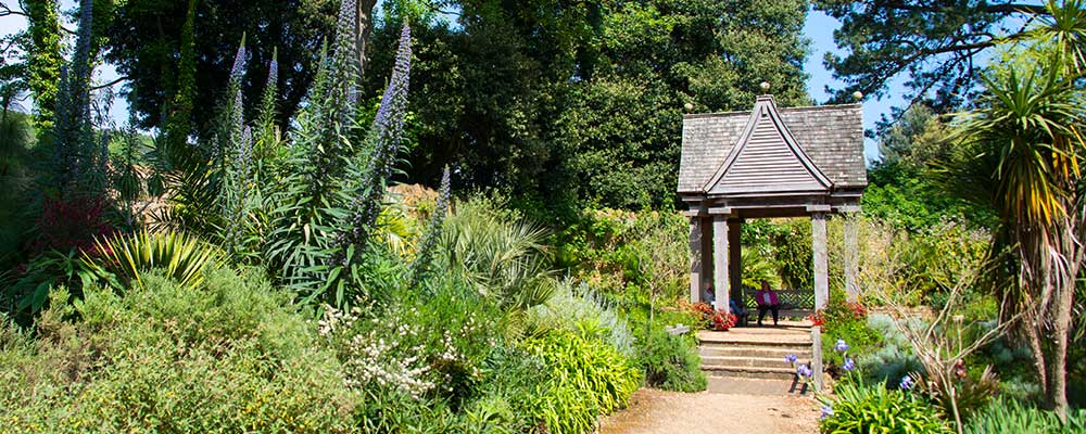 Abbotsbury Subtropical Gardens - a Best of Dorset Attraction