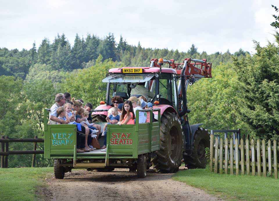 Fun tractor rides for the family at Dorset Heavy Horse Farm Park