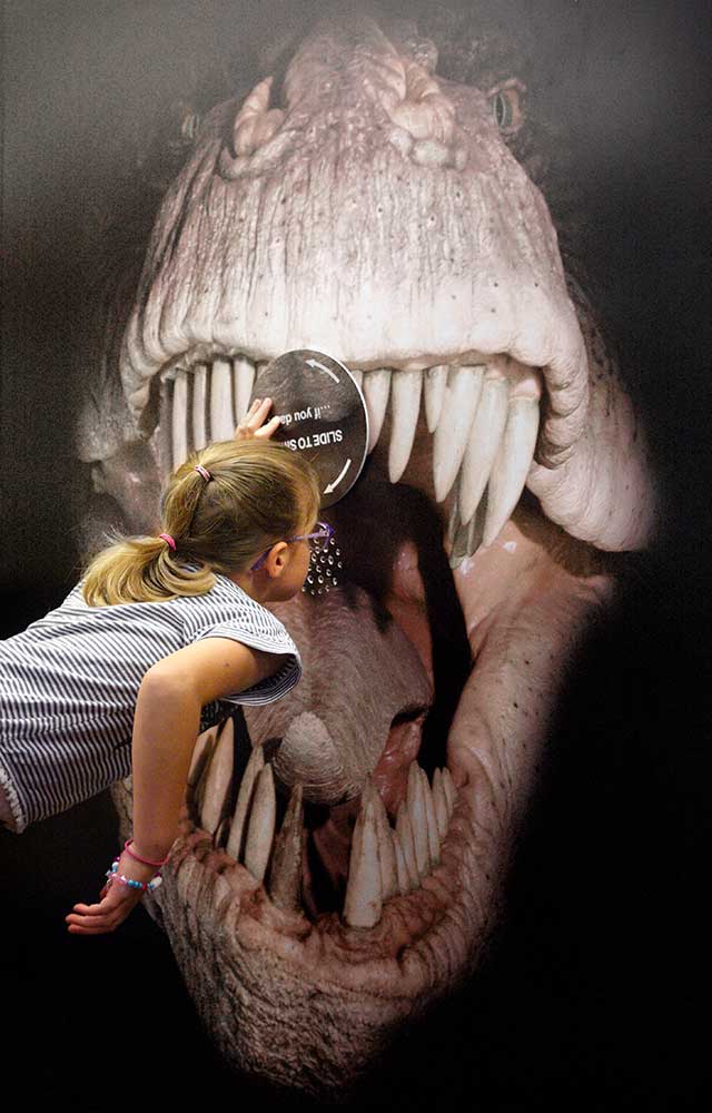 Interactive exhibitions at The Dinosaur Museum