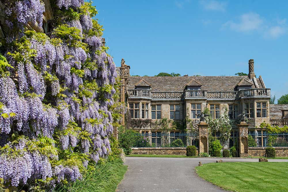 Mapperton House and Wisteria
