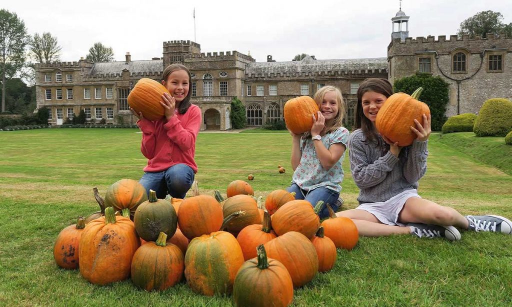 Halloween Half Term at Forde Abbey