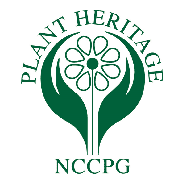 Plant Heritage Fair at Athelhampton House & Gardens, Dorset