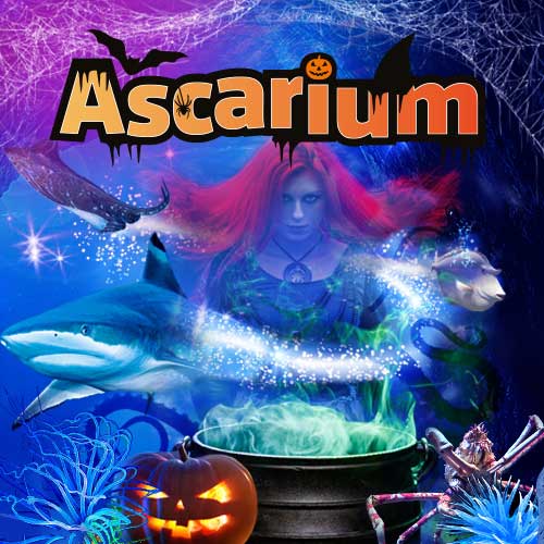 Enter the Ascarium - Halloween event at Weymouth SEA LIFE Adventure Park
