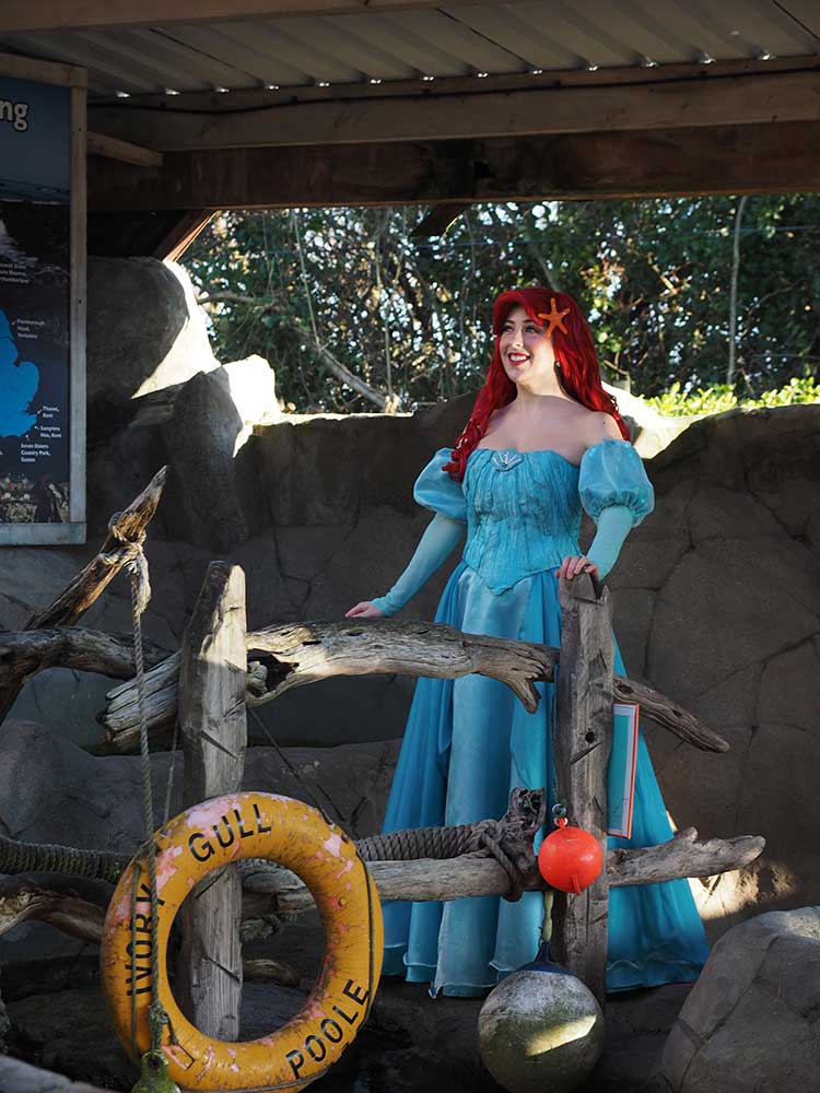 The Little Mermaid Makes A Surprise Visit To Weymouth SEA LIFE