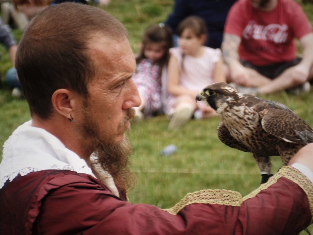 Medieval falconry at Corfe Castle