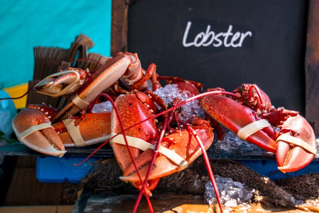 Nyetimber Dorset Seafood Festival 2019 at Weymouth Harbour