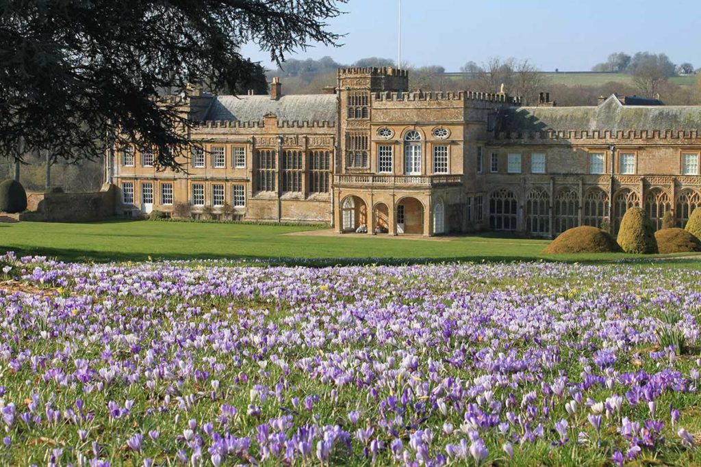 Plant and Gardening Fair at Forde Abbey
