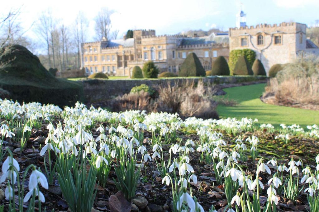 Snowdrop Weekends at Forde Abbey