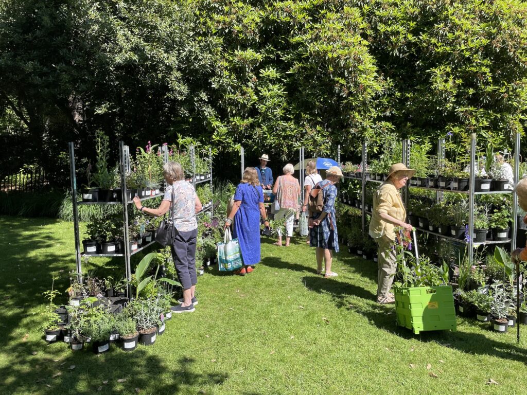 plant fair at abbotsbury subtropical gardens